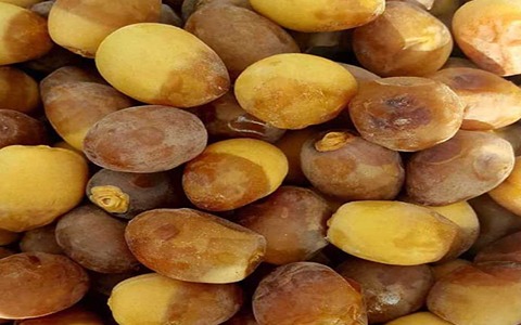 فروش خرمای برحی خشک + قیمت خرید به صرفه